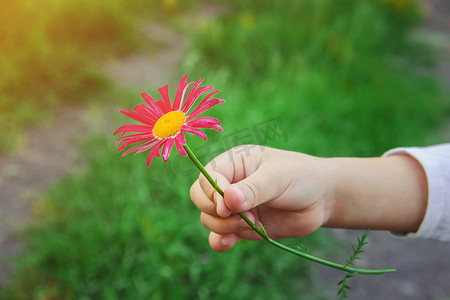 孩子把花送给了他的妈妈。