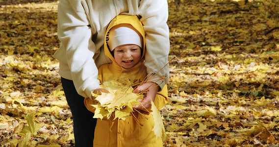 小可爱的孩子和他的母亲手里拿着加拿大枫叶