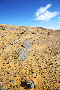 蜗牛的背景摄影照片_布什老化石和岩石天空