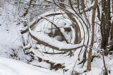 树枝插画摄影照片_冬天雪背景的数字插图