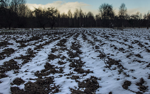 欧洲冬天摄影照片_冬天的马铃薯田，透视图