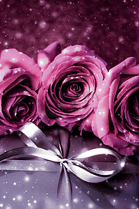 圣诞节礼物棒摄影照片_豪华假日银礼盒和粉红玫瑰作为圣诞节、情人节或生日礼物