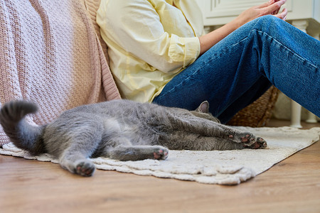 猫地板摄影照片_女性坐在地板上使用智能手机，宠物猫睡在主人身边