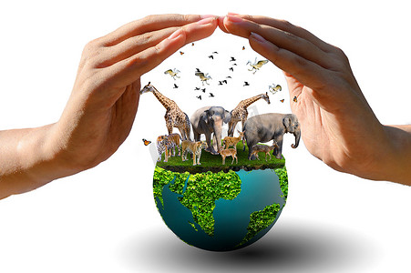 世界绿色设计摄影照片_世界动物日 世界野生动物日 成群的野兽聚集在人们的手中