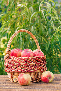 旧木板上的柳条篮里采摘的红苹果