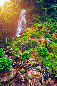 葡萄牙亚速尔群岛圣米格尔自然公园 Da Ribeira Dos Caldeiroes 的瀑布。