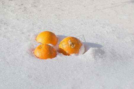 美极简摄影照片_白雪上的三个橙子，橙色，背景，极简主义