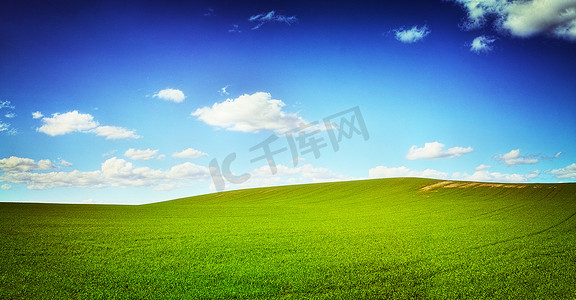 一片绿草茵茵的田野，映衬着完美的蓝色天空 - copyspace一张绿色田野和蓝天的风景照片 - 此图像上的所有设计都是由 Yuri Arcurs 专业团队为这张特别的照片拍摄从头开始创建的