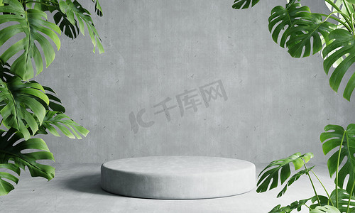 灰色阁楼颜色背景的圆形讲台，前景为龟背竹植物。