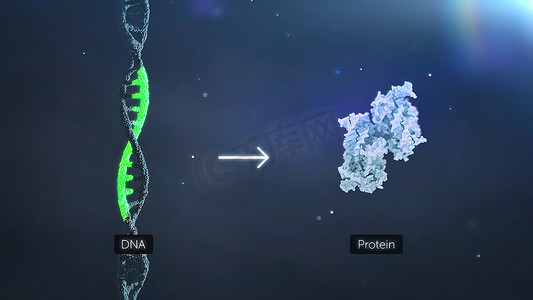 DNA突变，突变是DNA序列的改变，突变