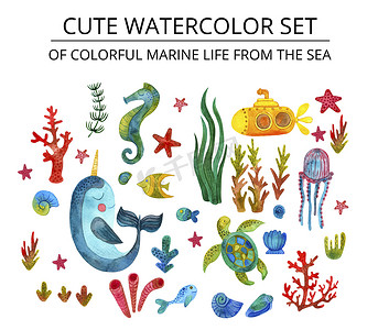 可爱的一组来自大海的色彩缤纷的海洋生物海星、海狗、珊瑚、藻类、鱼、黄色潜艇、蜗牛