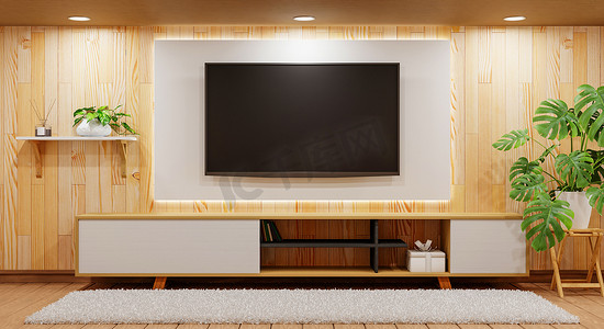 现代空荡荡的房间里的木柜上方有电视，木质背景上铺着植物地毯和筒灯。