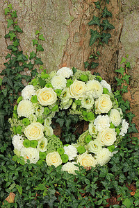 慰问金发放表摄影照片_白色同情花环或葬礼鲜花