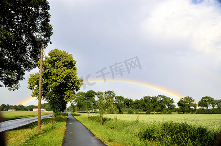 自行车道旁树冠上的彩虹