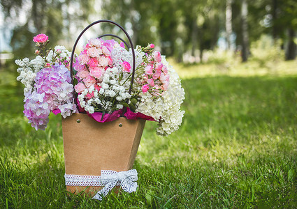 公园草背景设计纸纸板盒中的福禄考花束