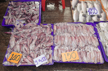 八市摄影照片_泰国市场上出售的生鱿鱼。