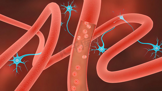 受体，单克隆抗体跨血脑屏障的运输 3D 医学插图