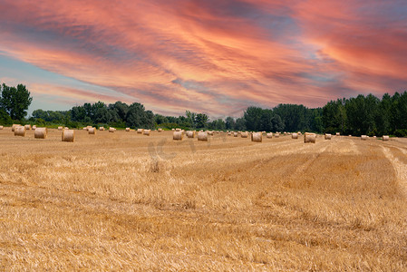 色彩鲜艳的收割麦田上的日落天空