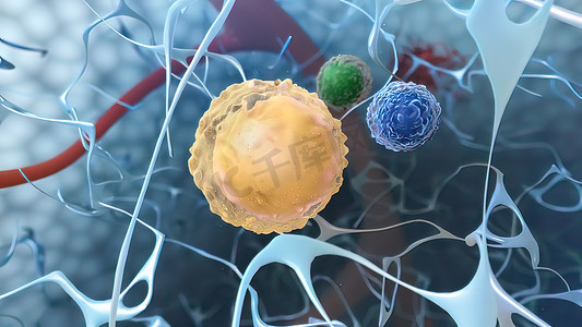 分泌效应细胞因子的先天淋巴样细胞是 T 细胞的先天对应物。