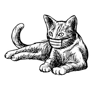带着面具的猫手绘插画