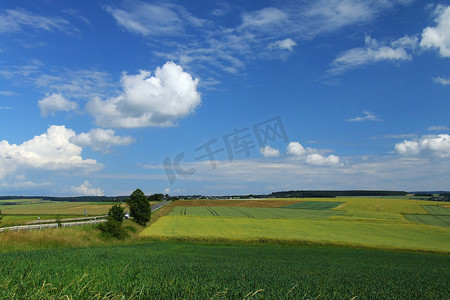 landschaft摄影照片_天空和玉米地