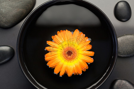 橙花漂浮在被黑石包围的碗中