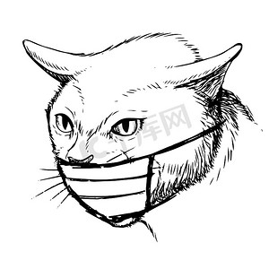 可爱猫手绘摄影照片_带着面具的猫手绘插画