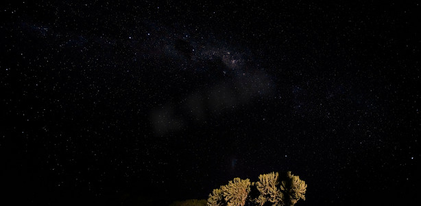从阿纳考、马达加斯加、南十字星或船底座星云附近可见的十字星座，小灌木丛上空有银河系的夜空