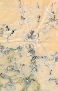 一片多尔蓝纹奶酪。