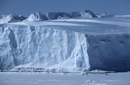 南极洲威德尔海上升者拉森冰架冰山与帝企鹅