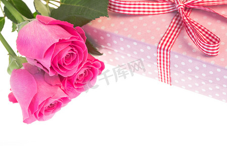 粉红玫瑰放在粉红圆点上，包裹着带有复制空间的礼物