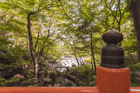 枫树和樱花环绕的日本朱红色桥