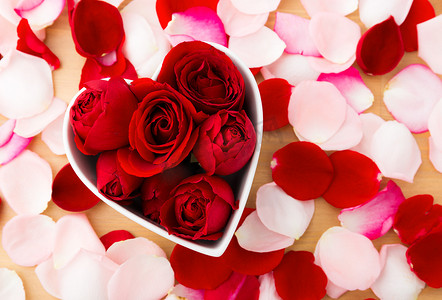 心形碗内美丽的红玫瑰，旁边有花瓣
