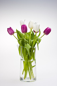 花瓶花摄影照片_玻璃花瓶里的白色和紫色郁金香