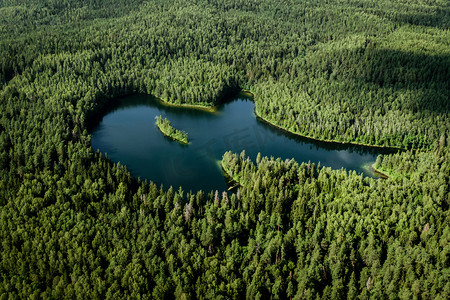 森林湖的顶视图。
