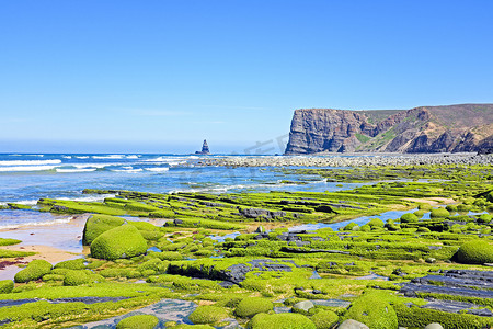 葡萄牙大西洋的岩石上长满了海藻