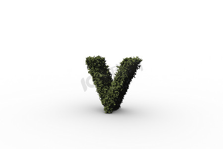 树叶组成的字母v
