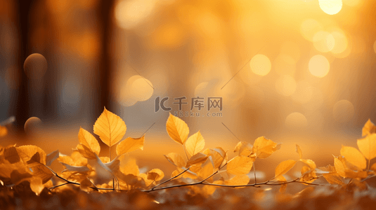 秋天的背景背景图片_秋天的叶子黄叶落叶背景
