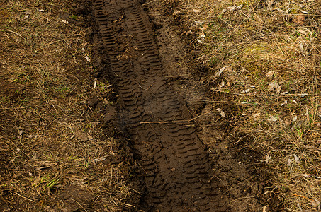 汽车轮胎印记，春天，泥土和草地