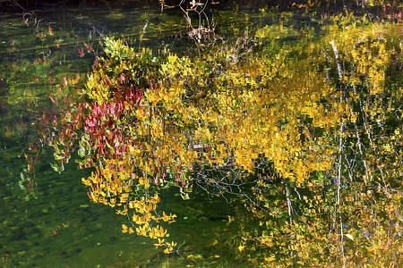 华盛顿韦纳奇河倒影的秋季色彩