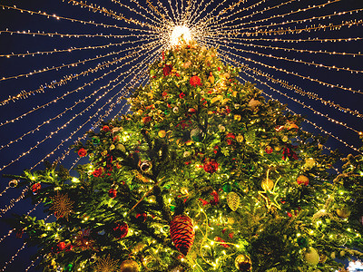 俄罗斯莫斯科马涅日纳亚广场巨型圣诞树的底部视图。