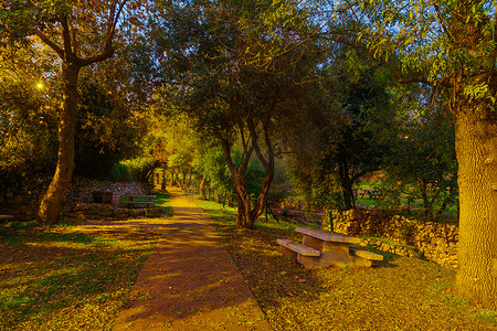哈雷摄影照片_恩赫米德国家公园的野餐区，有秋叶