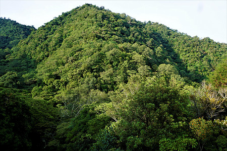 胡安卡斯特罗布兰科国家公园山在阳光明媚的早晨