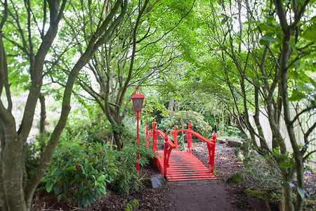 森林中的红色日式桥梁