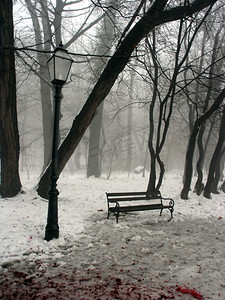 雪下灯笼摄影照片_雪树下的长凳