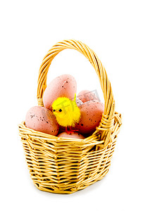 wicket摄影照片_小篮子里有鸡蛋和一只东方鸡