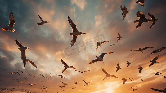 一群鸟在夕阳中飞翔