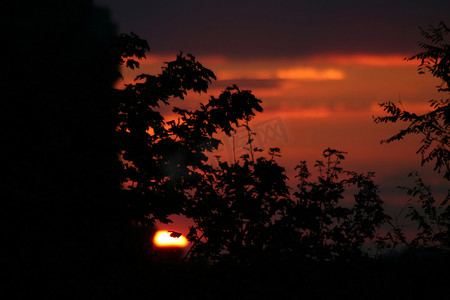 紫色浪漫的树摄影照片_俯瞰莱比锡 V�lkerschlachtdenkmal 的日落