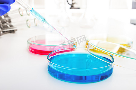 用移液管滴一滴彩色液体和培养皿。