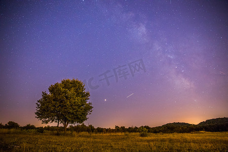 夜晚和星星景观：夜晚清澈的银河，孤独的田野和树木